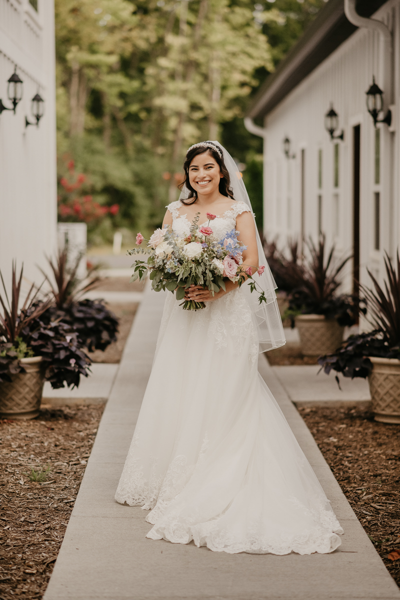 Stunning bride and groom wedding portraits at Historic Rosemont Springs, Virginia by Britney Clause Photography