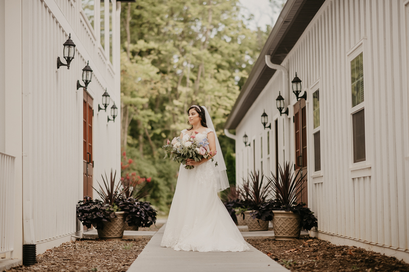 Stunning bride and groom wedding portraits at Historic Rosemont Springs, Virginia by Britney Clause Photography