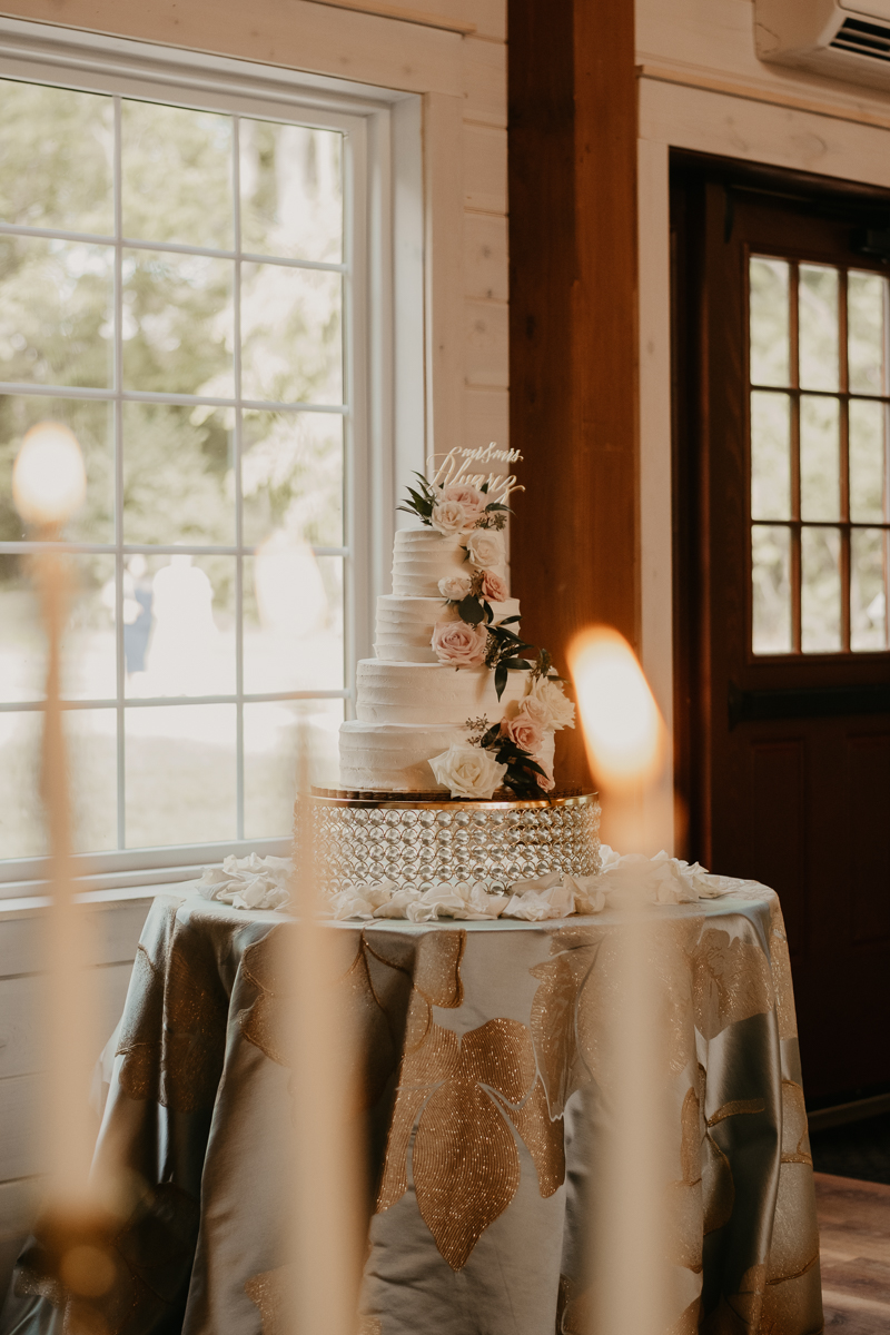 Magical wedding reception decor at Historic Rosemont Springs, Virginia by Britney Clause Photography