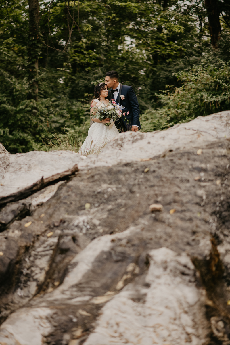 Stunning bride and groom wedding portraits at Historic Rosemont Springs, Virginia by Britney Clause Photography