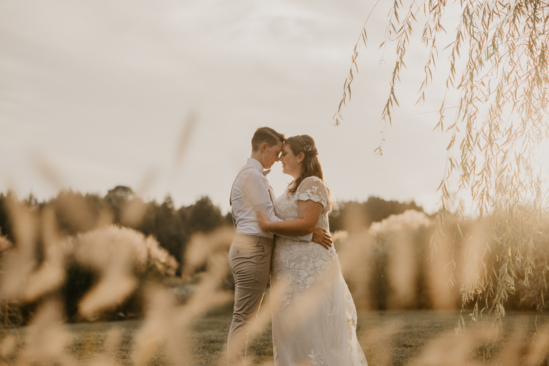 Stunning bride and bride sunset wedding portraits at Kylan Barn in Delmar, Maryland by Britney Clause Photography