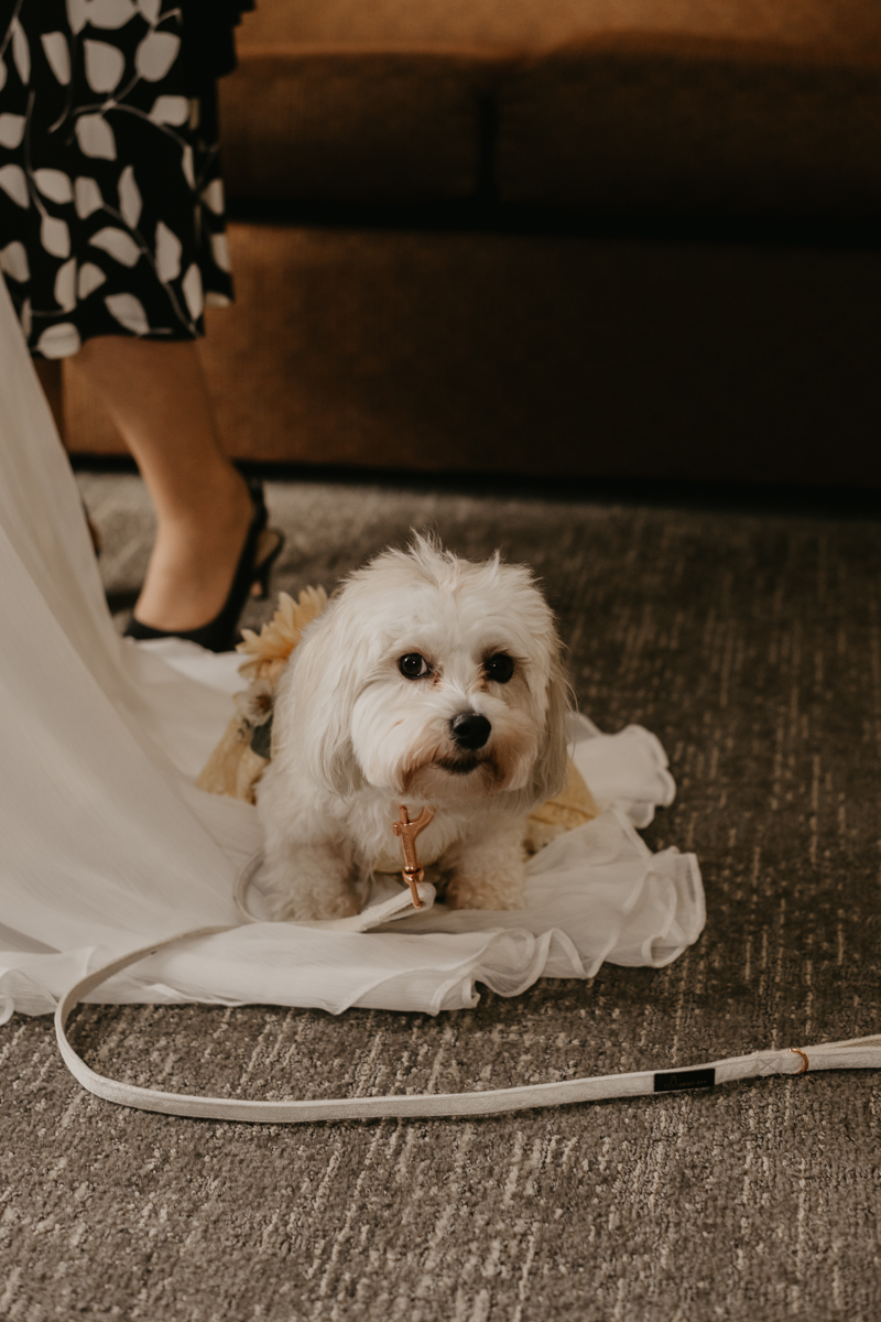 A bride getting ready for her wedding at the Vineyards of Mary's Meadow in Darlington, Maryland by Britney Clause Photography