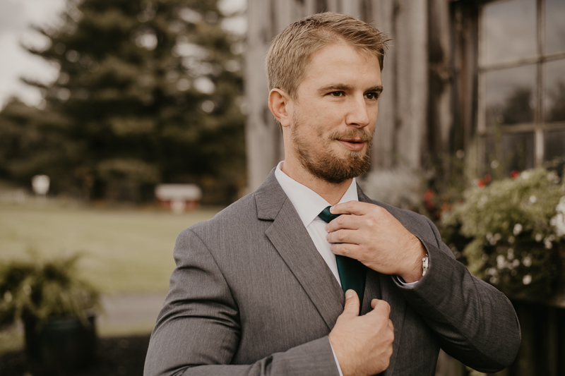 Stunning bride and groom wedding portraits at the Vineyards of Mary's Meadow in Darlington, Maryland by Britney Clause Photography