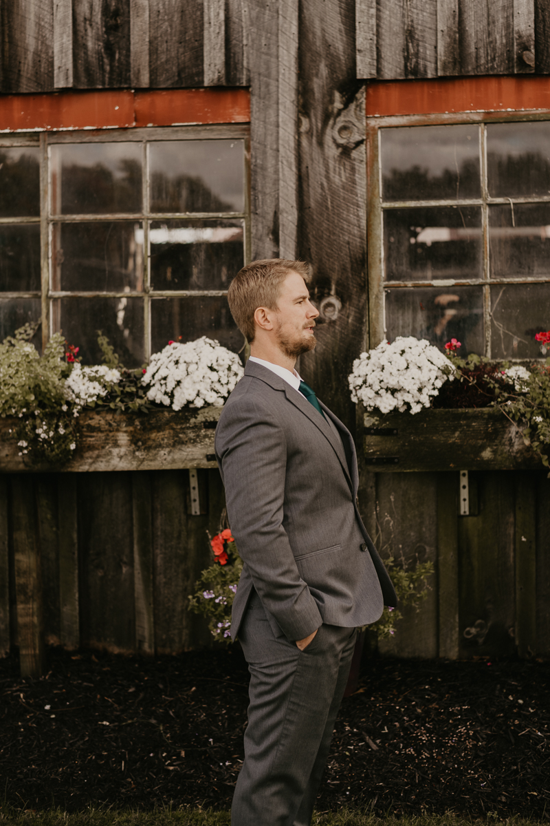 Stunning bride and groom wedding portraits at the Vineyards of Mary's Meadow in Darlington, Maryland by Britney Clause Photography