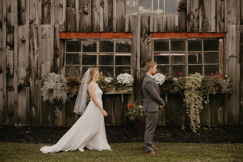 Stunning bride and groom wedding portraits at the Vineyards of Mary's Meadow in Darlington, Maryland by Britney Clause Photography