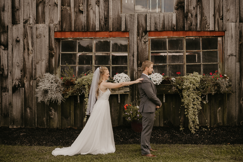 Stunning bride and groom wedding portraits at the Vineyards of Mary's Meadow in Darlington, Maryland by Britney Clause Photography