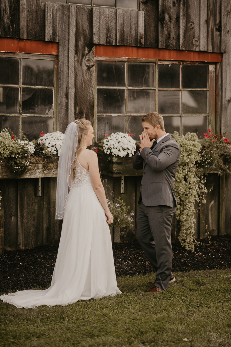 Stunning bride and groom wedding portraits at the Vineyards of Mary's Meadow in Darlington, Maryland by Britney Clause Photography