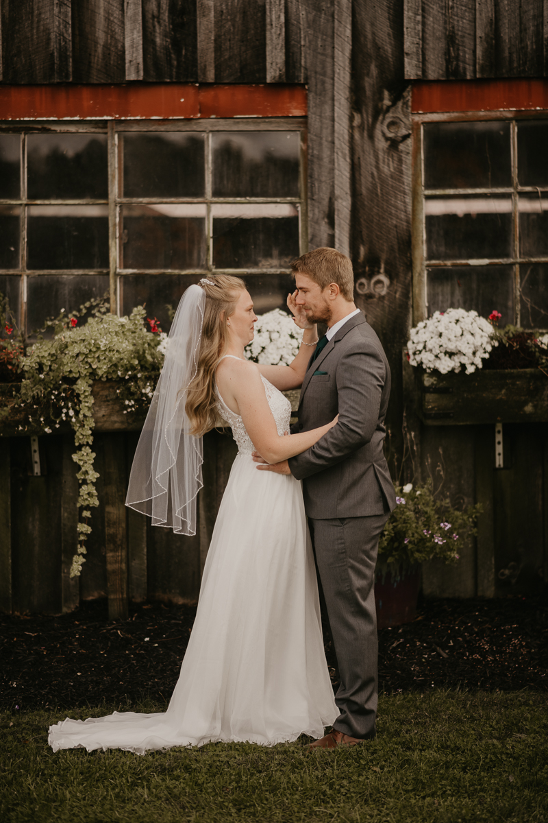 Stunning bride and groom wedding portraits at the Vineyards of Mary's Meadow in Darlington, Maryland by Britney Clause Photography