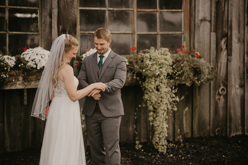 Stunning bride and groom wedding portraits at the Vineyards of Mary's Meadow in Darlington, Maryland by Britney Clause Photography