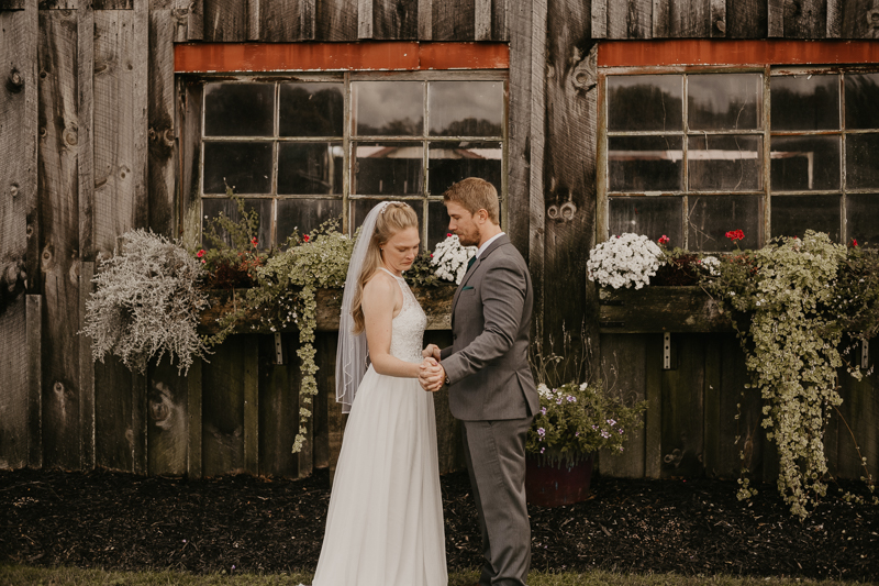 Stunning bride and groom wedding portraits at the Vineyards of Mary's Meadow in Darlington, Maryland by Britney Clause Photography