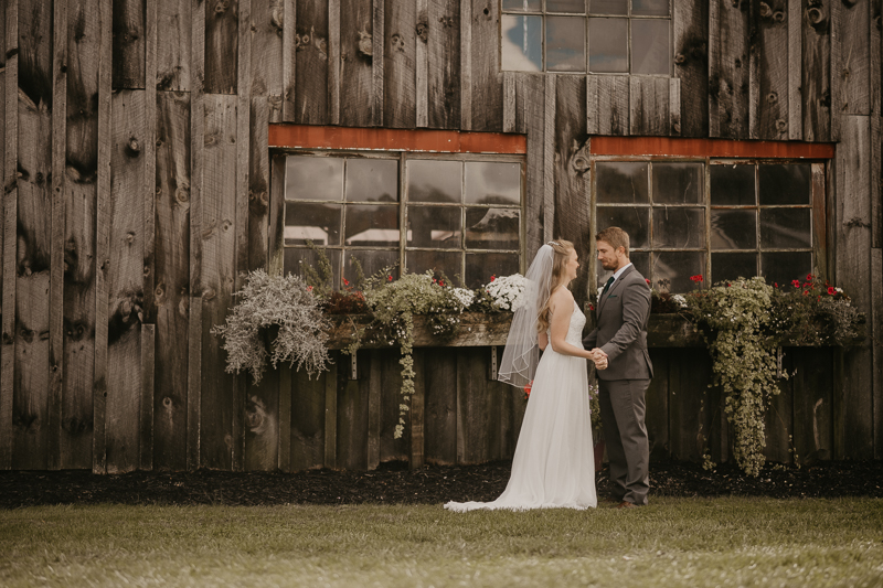 Stunning bride and groom wedding portraits at the Vineyards of Mary's Meadow in Darlington, Maryland by Britney Clause Photography