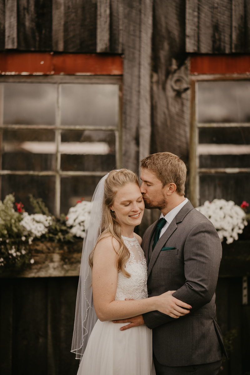 Stunning bride and groom wedding portraits at the Vineyards of Mary's Meadow in Darlington, Maryland by Britney Clause Photography