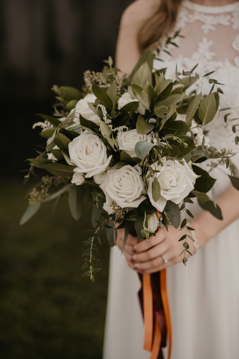 Stunning bride and groom wedding portraits at the Vineyards of Mary's Meadow in Darlington, Maryland by Britney Clause Photography