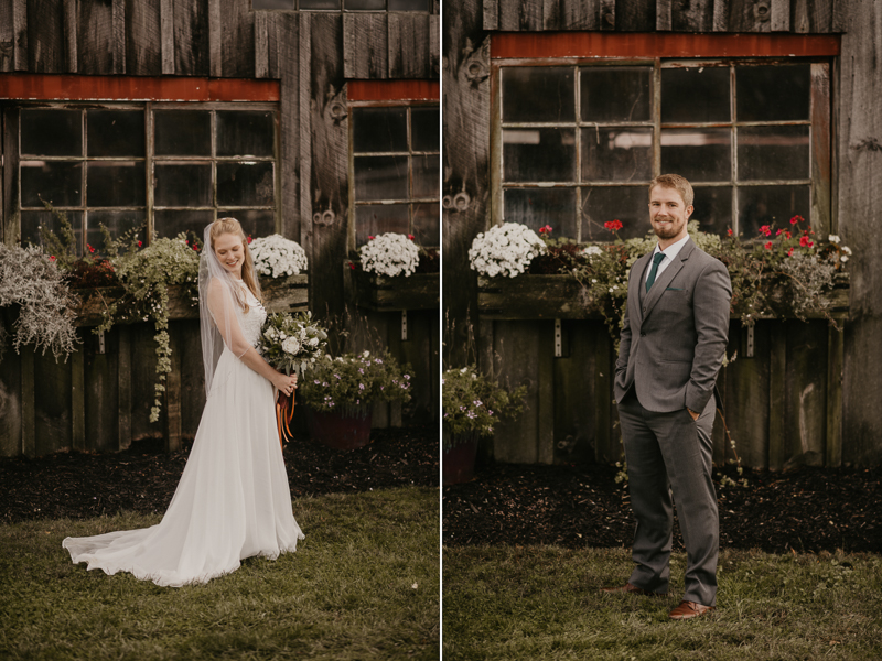 Stunning bride and groom wedding portraits at the Vineyards of Mary's Meadow in Darlington, Maryland by Britney Clause Photography