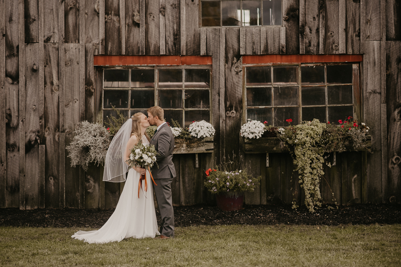 Stunning bride and groom wedding portraits at the Vineyards of Mary's Meadow in Darlington, Maryland by Britney Clause Photography