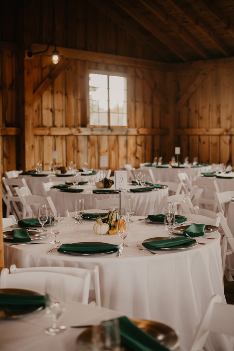 Magical wedding reception decor at the Vineyards of Mary's Meadow in Darlington, Maryland by Britney Clause Photography