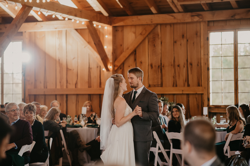 A fun evening wedding reception at the Vineyards of Mary's Meadow in Darlington, Maryland by Britney Clause Photography