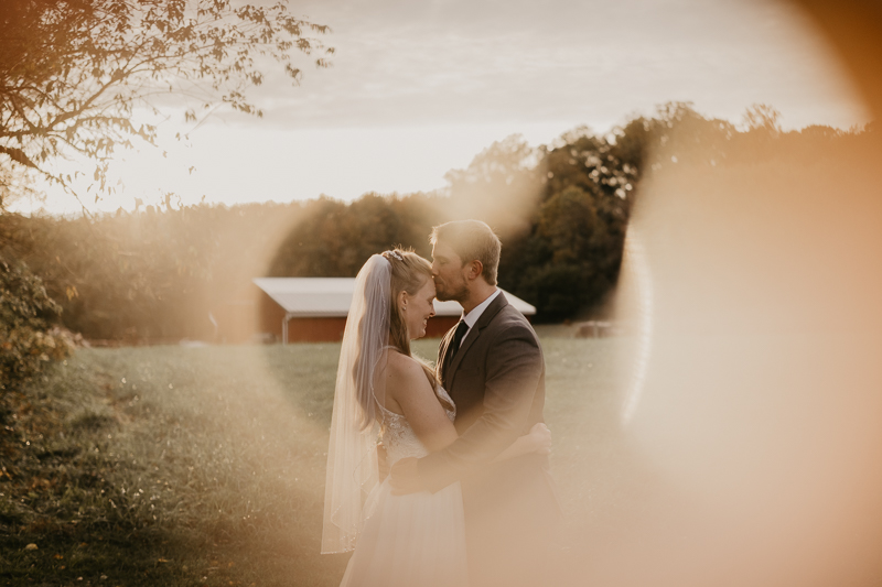 Stunning bride and groom wedding portraits at the Vineyards of Mary's Meadow in Darlington, Maryland by Britney Clause Photography