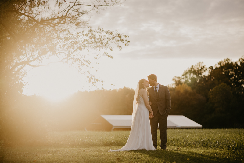 Stunning bride and groom wedding portraits at the Vineyards of Mary's Meadow in Darlington, Maryland by Britney Clause Photography