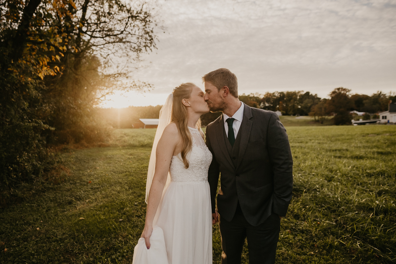 Stunning bride and groom wedding portraits at the Vineyards of Mary's Meadow in Darlington, Maryland by Britney Clause Photography