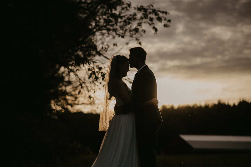 Stunning bride and groom wedding portraits at the Vineyards of Mary's Meadow in Darlington, Maryland by Britney Clause Photography