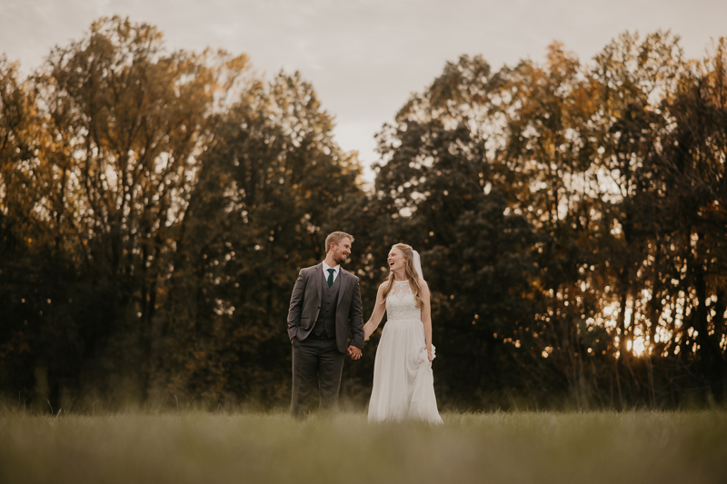 Stunning bride and groom wedding portraits at the Vineyards of Mary's Meadow in Darlington, Maryland by Britney Clause Photography