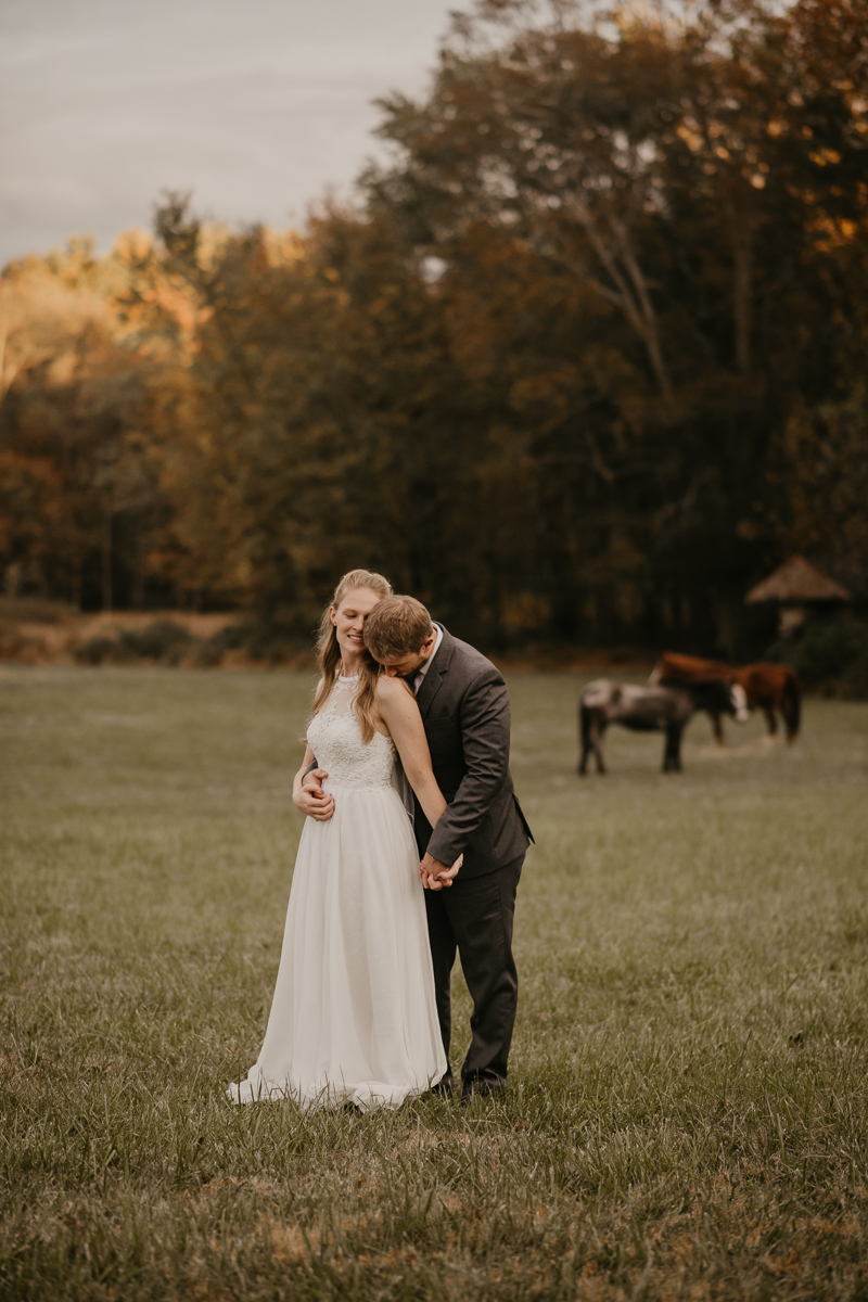 Stunning bride and groom wedding portraits at the Vineyards of Mary's Meadow in Darlington, Maryland by Britney Clause Photography