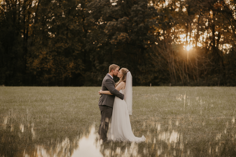 Stunning bride and groom wedding portraits at the Vineyards of Mary's Meadow in Darlington, Maryland by Britney Clause Photography