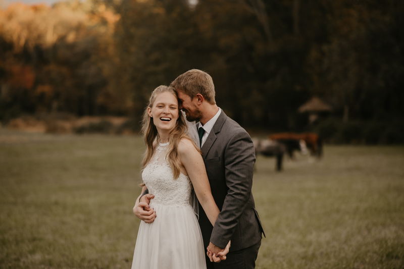 Stunning bride and groom wedding portraits at the Vineyards of Mary's Meadow in Darlington, Maryland by Britney Clause Photography