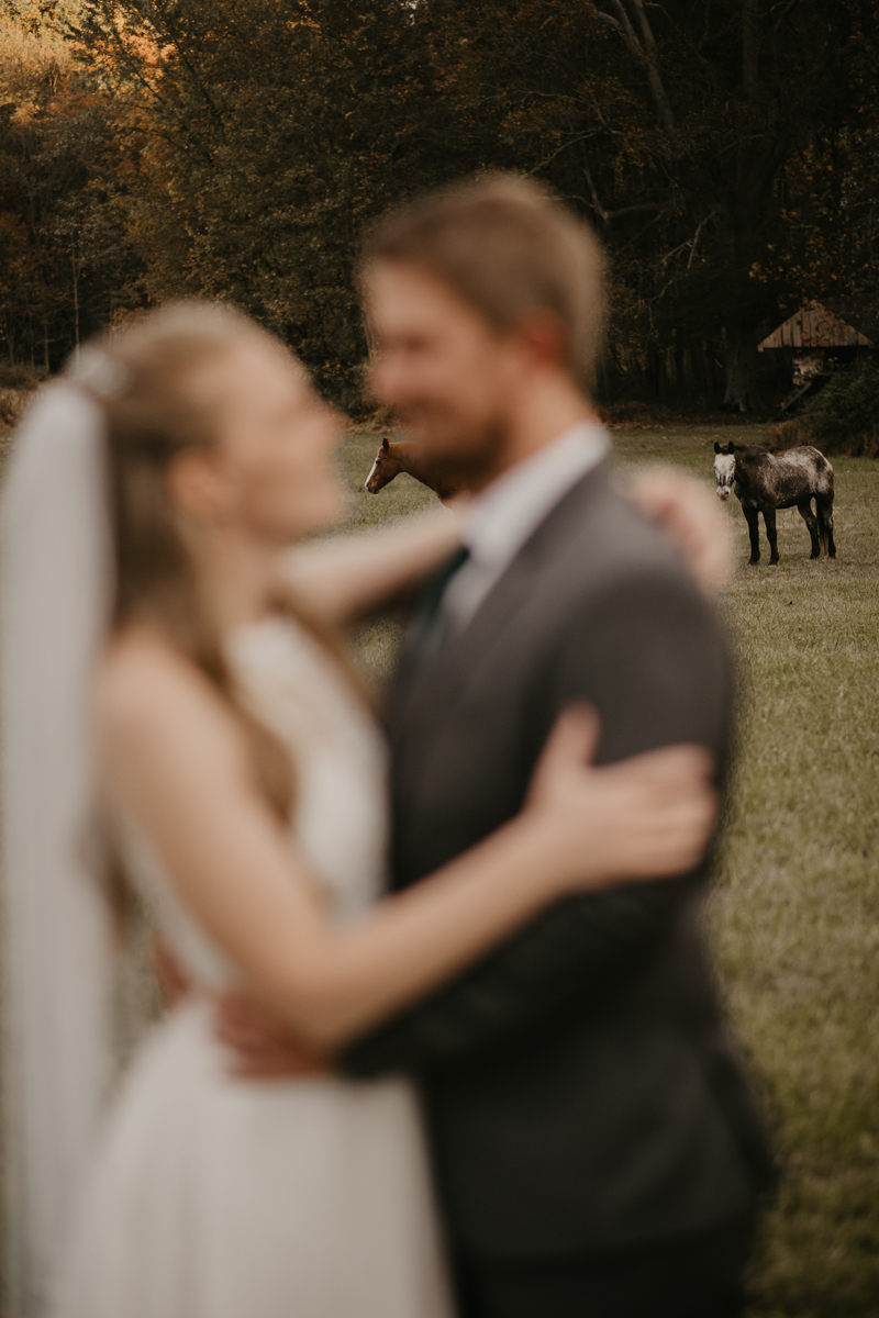 Stunning bride and groom wedding portraits at the Vineyards of Mary's Meadow in Darlington, Maryland by Britney Clause Photography