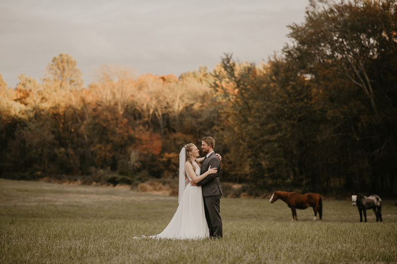 Stunning bride and groom wedding portraits at the Vineyards of Mary's Meadow in Darlington, Maryland by Britney Clause Photography