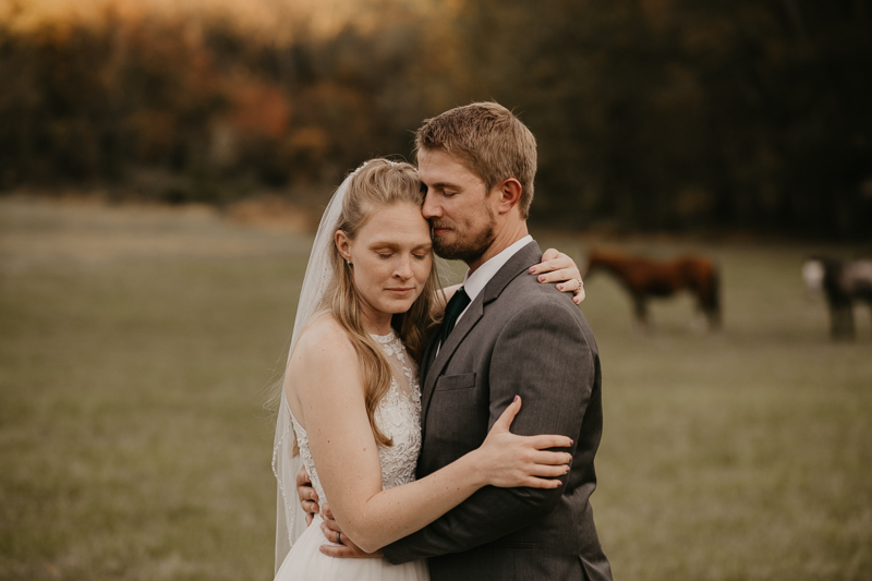 Stunning bride and groom wedding portraits at the Vineyards of Mary's Meadow in Darlington, Maryland by Britney Clause Photography