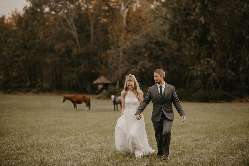 Stunning bride and groom wedding portraits at the Vineyards of Mary's Meadow in Darlington, Maryland by Britney Clause Photography