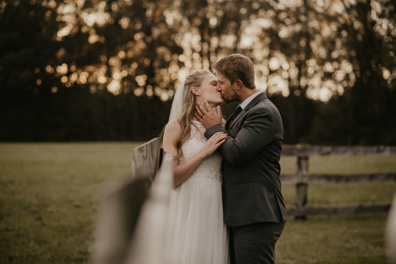 Stunning bride and groom wedding portraits at the Vineyards of Mary's Meadow in Darlington, Maryland by Britney Clause Photography