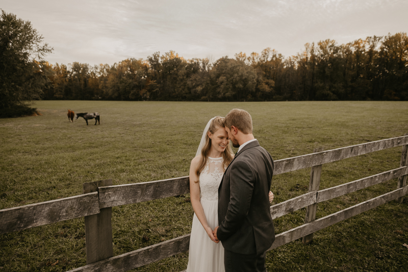 Stunning bride and groom wedding portraits at the Vineyards of Mary's Meadow in Darlington, Maryland by Britney Clause Photography