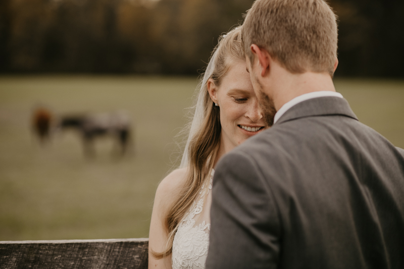 Stunning bride and groom wedding portraits at the Vineyards of Mary's Meadow in Darlington, Maryland by Britney Clause Photography