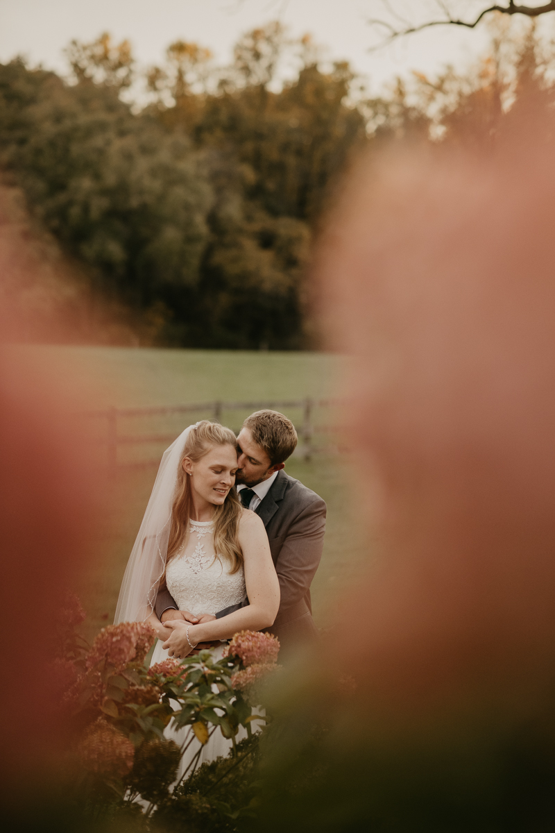 Stunning bride and groom wedding portraits at the Vineyards of Mary's Meadow in Darlington, Maryland by Britney Clause Photography