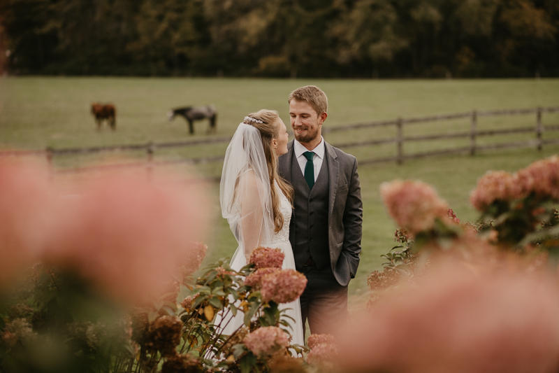 Stunning bride and groom wedding portraits at the Vineyards of Mary's Meadow in Darlington, Maryland by Britney Clause Photography