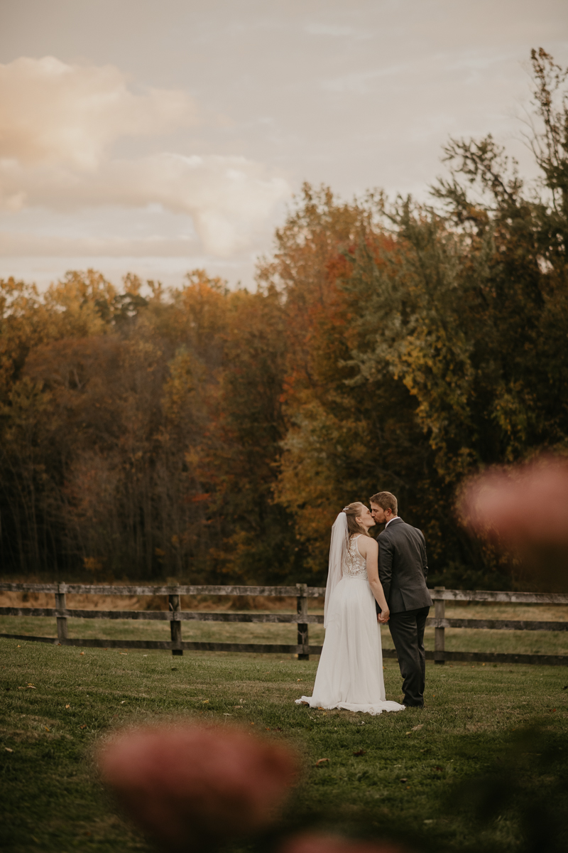 Stunning bride and groom wedding portraits at the Vineyards of Mary's Meadow in Darlington, Maryland by Britney Clause Photography