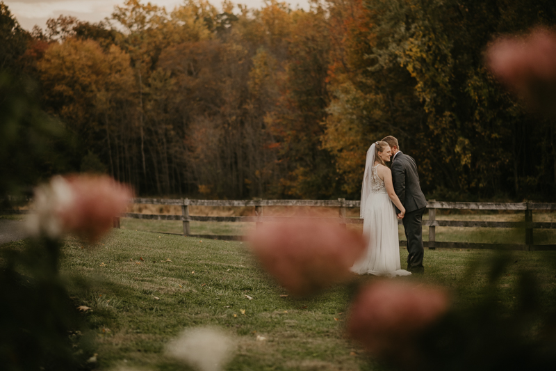 Stunning bride and groom wedding portraits at the Vineyards of Mary's Meadow in Darlington, Maryland by Britney Clause Photography