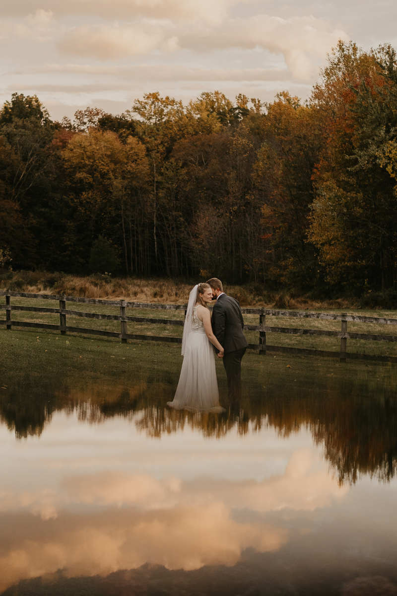 Stunning bride and groom wedding portraits at the Vineyards of Mary's Meadow in Darlington, Maryland by Britney Clause Photography