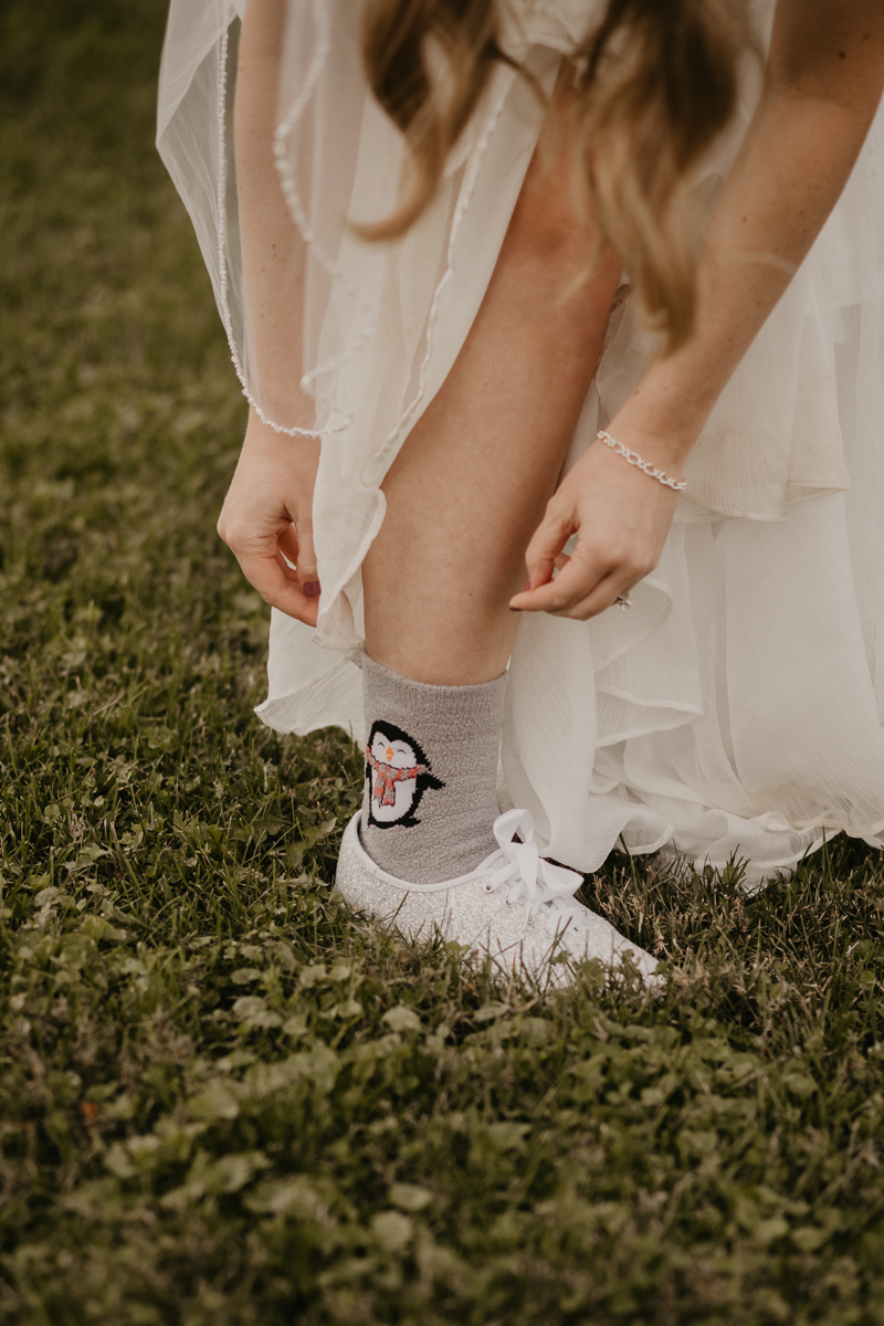 Stunning bride and groom wedding portraits at the Vineyards of Mary's Meadow in Darlington, Maryland by Britney Clause Photography