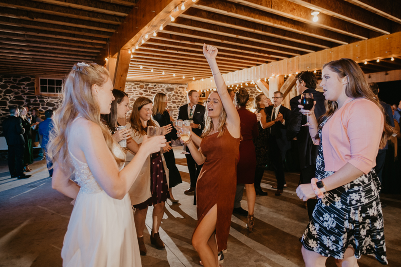 A fun evening wedding reception at the Vineyards of Mary's Meadow in Darlington, Maryland by Britney Clause Photography