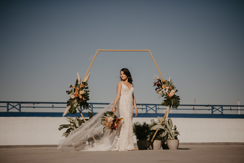 Stunning bride and groom wedding portraits at the Annapolis Waterfront Hotel in Annapolis, Maryland by Britney Clause Photography