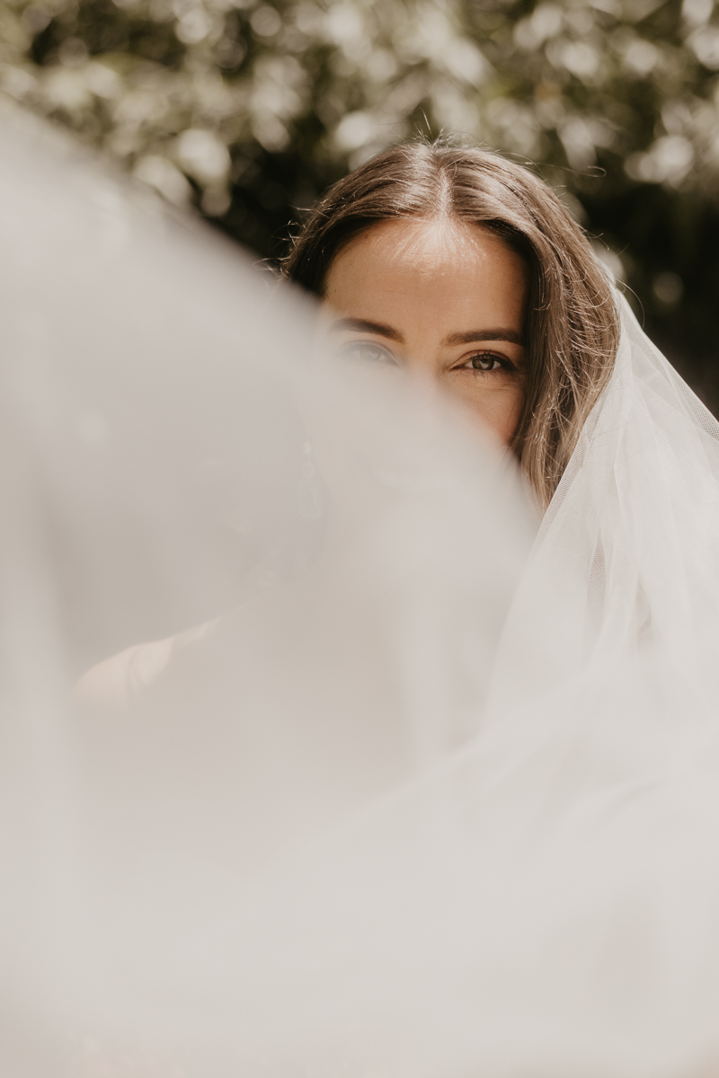 Stunning bridal portraits at the William Paca House Wedding in Annapolis, Maryland by Britney Clause Photography