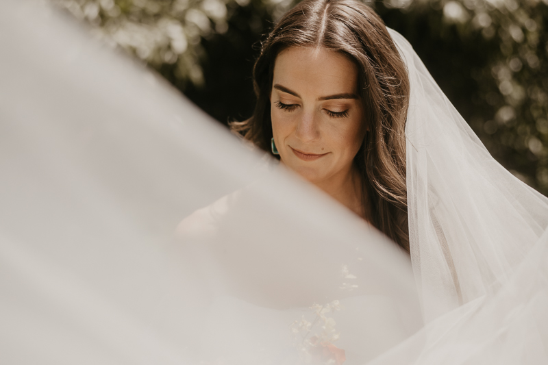 Stunning bridal portraits at the William Paca House Wedding in Annapolis, Maryland by Britney Clause Photography