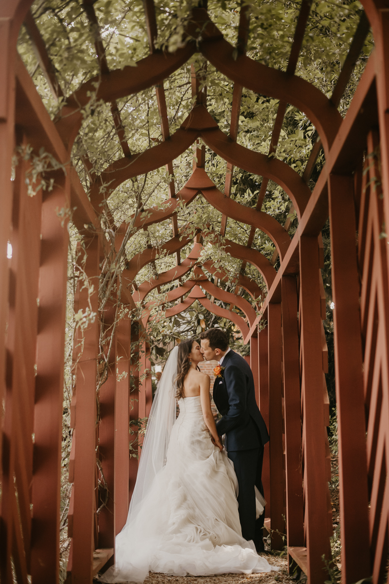 Stunning bride and groom wedding portraits at the William Paca House Wedding in Annapolis, Maryland by Britney Clause Photography