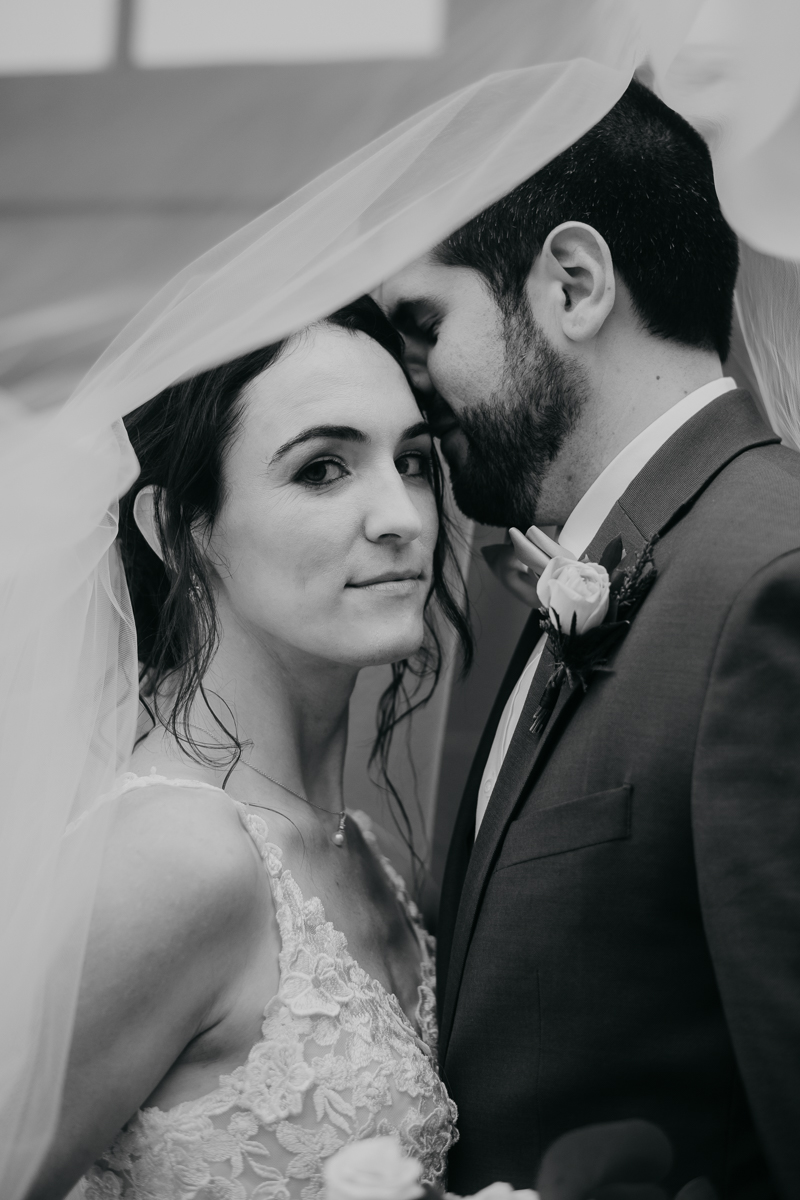 Stunning bride and groom wedding portraits at Main Street Ballroom in Ellicott City, Maryland by Britney Clause Photography