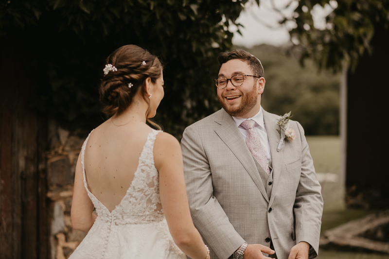 Stunning bride and groom wedding portraits at Dulany's Overlook in Frederick, Maryland by Britney Clause Photography