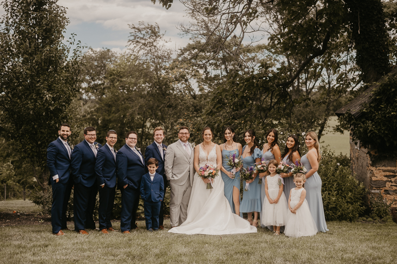 Beautiful bridal party portraits at Dulany's Overlook in Frederick, Maryland by Britney Clause Photography